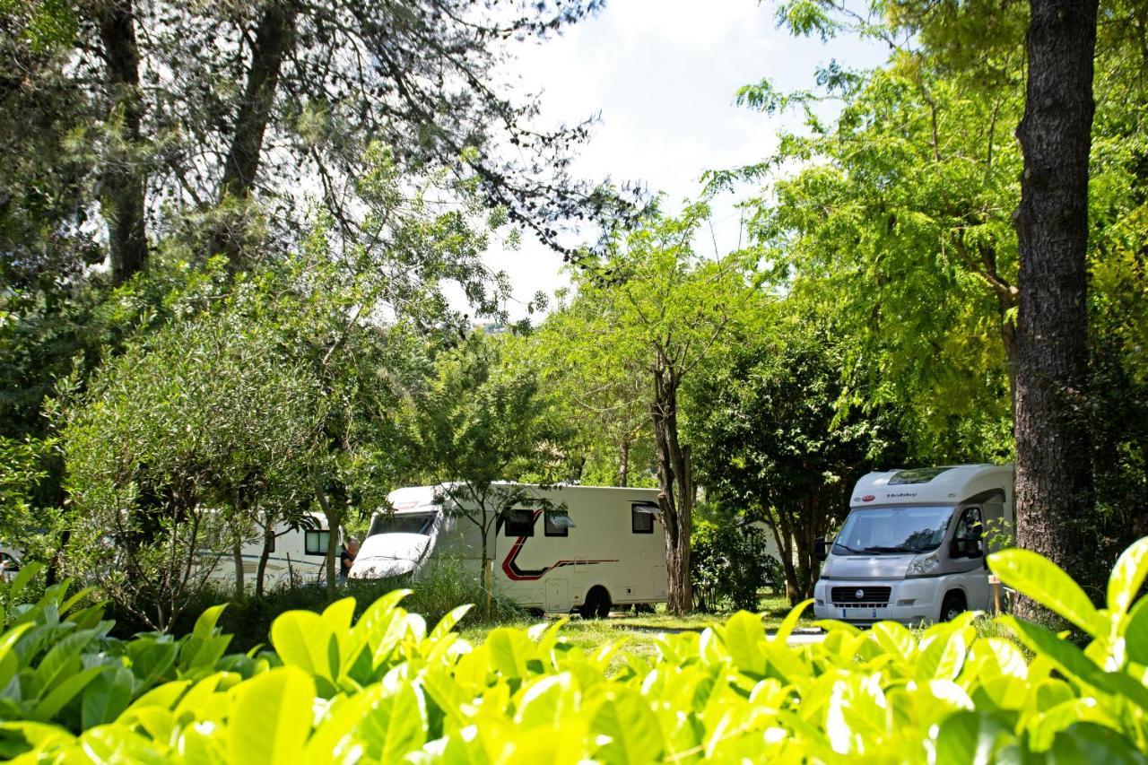 Camping Les Mimosas Hotel Pégomas Exterior foto